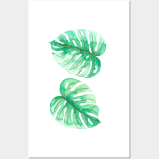 Monstera leaves Posters and Art